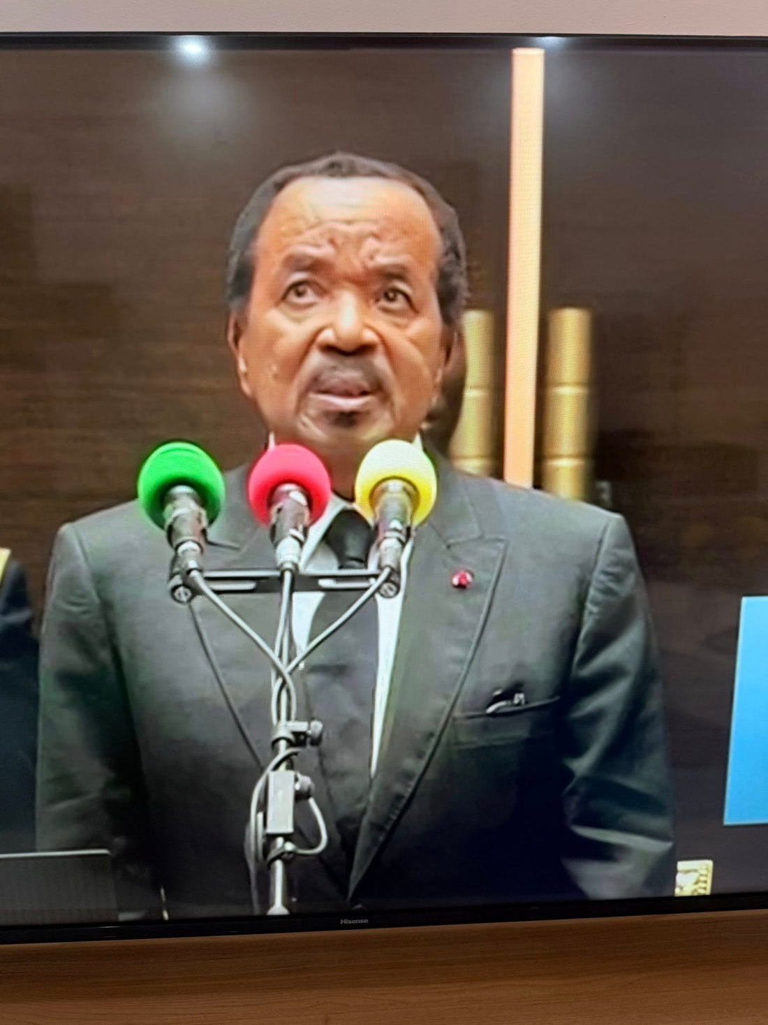 Why the 420 Million Youth Subsidy Makes No Economic Sense in Cameroon